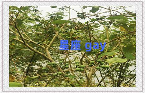 星座 gay